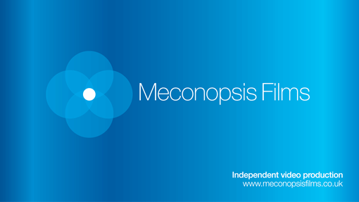 Meconopsis Films