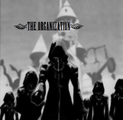 The Organization AMVs