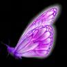 Purple Butterfly of Christ - Alissa Lynne