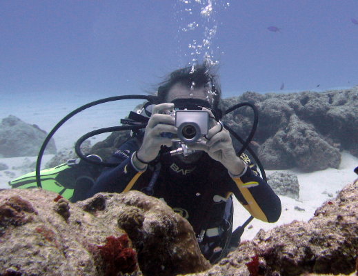 Sea Urchin Dive-Cozumel, Mexico