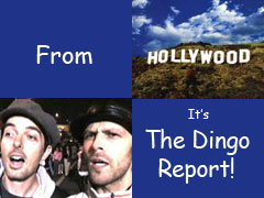 From Hollywood, Its The Dingo Report!